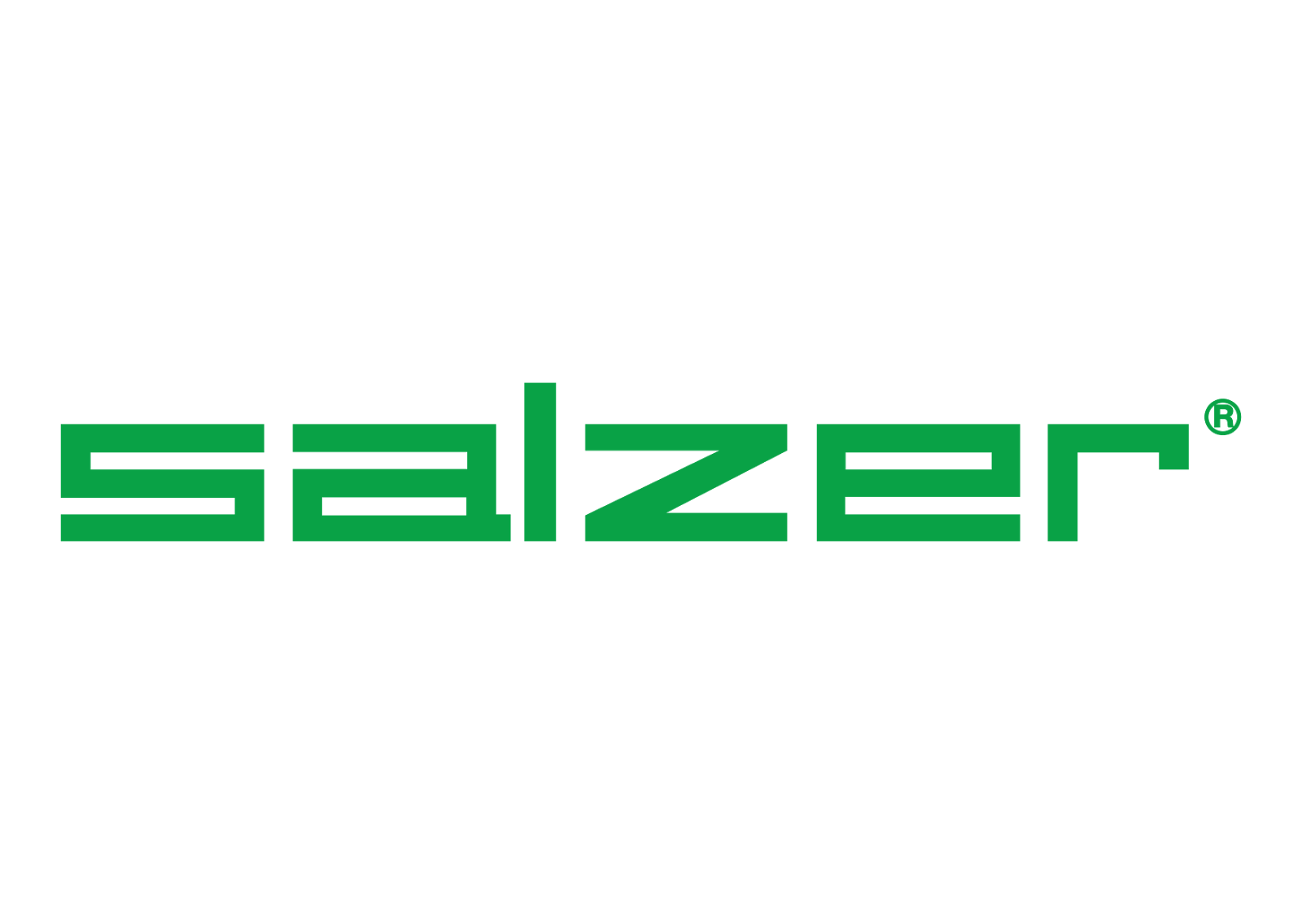 Salzer electric vector logo